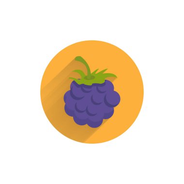 Uzun gölgeli böğürtlen renkli düz ikon. böğürtlen meyve düz simgesi