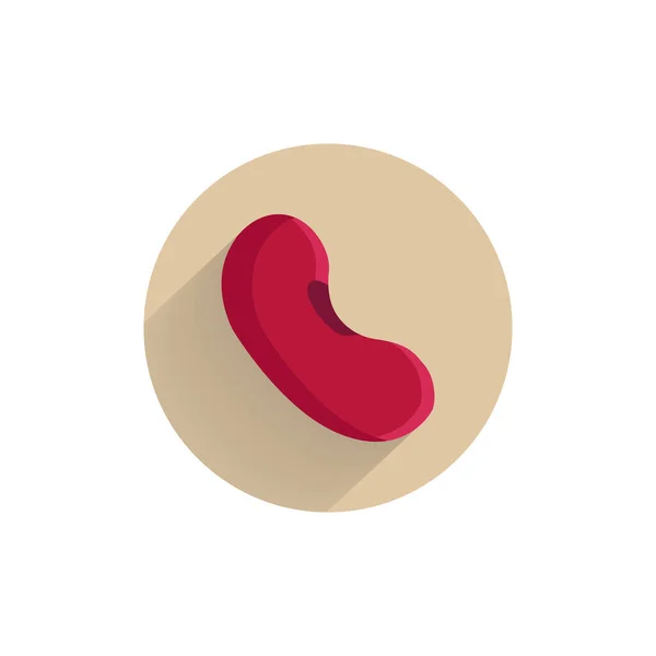 Κόκκινο Φασόλι Νεφρό Πολύχρωμο Επίπεδη Εικόνα Μεγάλη Σκιά Νεφρό Φασόλι — Διανυσματικό Αρχείο