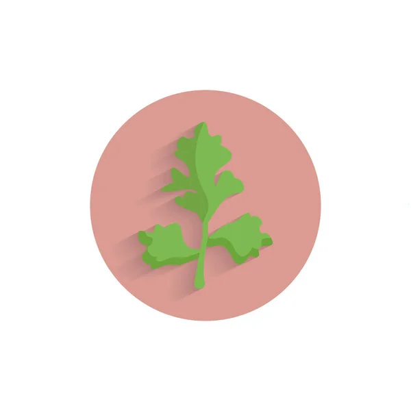 Parsley Italian Flat Leaf Кольорова Плоска Ікона Довгою Тінню Плоска — стоковий вектор