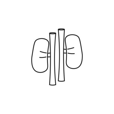 Böbrek çevrimiçi ikonu. Böbrek izole hat simgesi