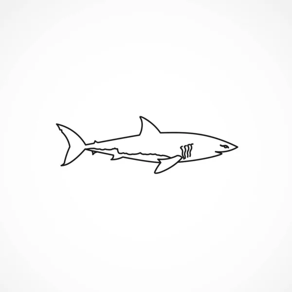 Icône Ligne Requin Icône Ligne Isolée Requin — Image vectorielle