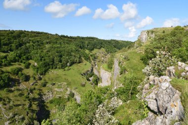 Somerset 'te Çedar Vadisi