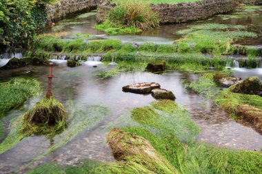 Somerset 'teki Çedar Köyü
