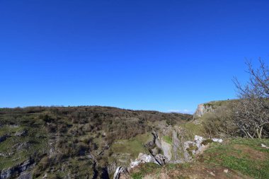 Somerset 'te Çedar Vadisi