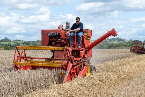 Landwirtschaft von gestern 2019 in Haselbury — Stockfoto
