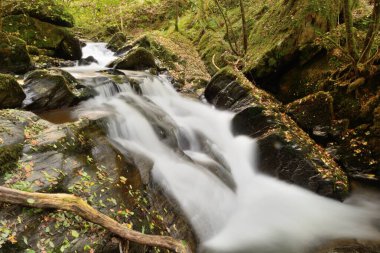 Exmoor Ulusal Parkı 'nda Su Buluşması