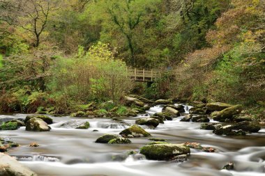 Devon 'da su buluşması