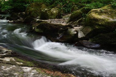 Devon 'da su buluşması