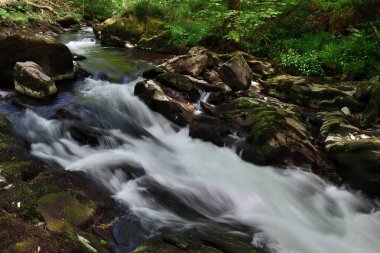 Devon 'da su buluşması