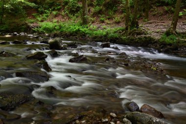 Devon 'da su buluşması