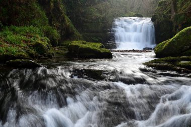 Devon 'da su buluşması