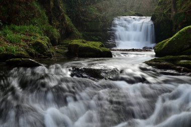 Devon 'da su buluşması
