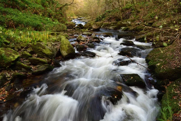 Vattenmöte i Devon — Stockfoto