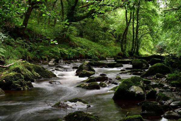 Следите за встречей
