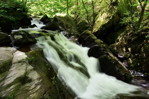 Vattenmöte i Devon — Stockfoto