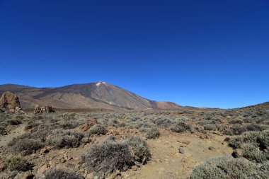 Tenerife 'deki El Teide Ulusal Parkı
