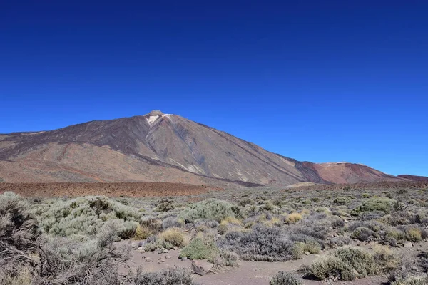 Nationalpark El Teide auf Teneriffa — Stockfoto