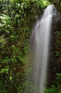 Saint Lucia 'da Toraille Şelalesi