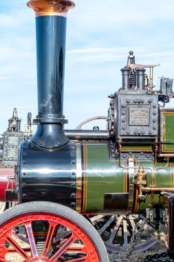 Büyük Dorset buhar fuarı 2019