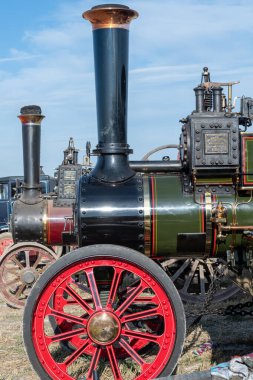 Büyük Dorset buhar fuarı 2019