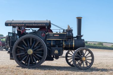 Büyük Dorset buhar fuarı 2019