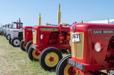 Büyük Dorset buhar fuarı 2019