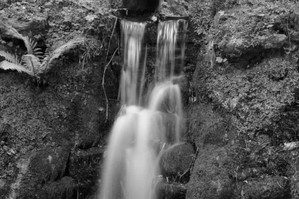Ninesprings waterval park in Somerset — Stockfoto