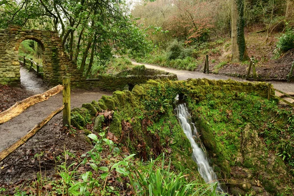 Parque de cataratas Ninesprings en Somerset — Foto de Stock