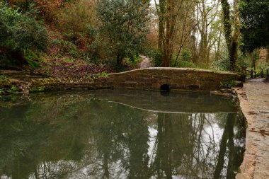 Somerset 'teki Ninesprings şelale parkı