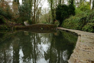 Somerset 'teki Ninesprings şelale parkı