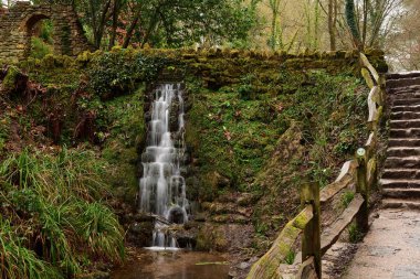 Somerset 'teki Ninesprings şelale parkı