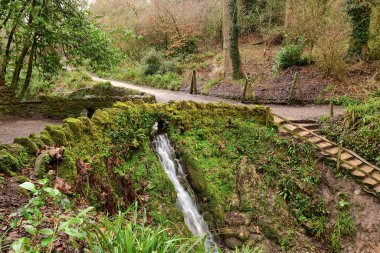 Somerset 'teki Ninesprings şelale parkı