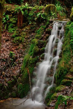 Yeovil 'de Ninesprings Park