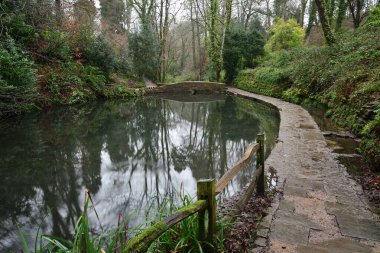 Yeovil 'de Ninesprings Park