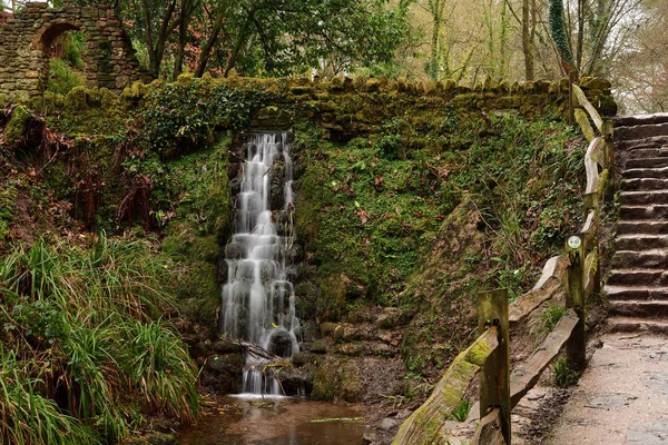 Parque de cataratas Ninesprings en Somerset — Foto de Stock