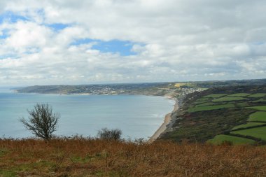 Dorset kıyı şeridi