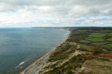 Dorset kıyı şeridi