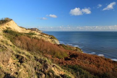 Dorset kıyı şeridi