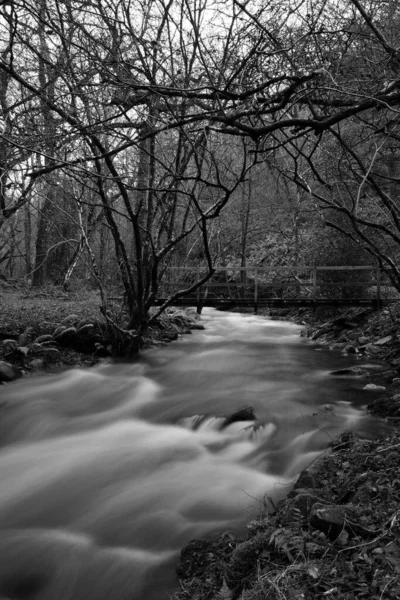 Horner woods in Somerset — Stock Photo, Image