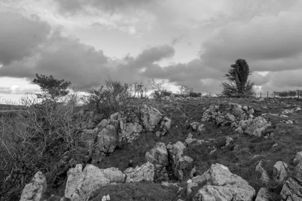 Cheddar gorge — Stockfoto