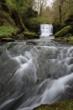 Devon 'daki Watersmeet' te büyük şelalenin ormanlardan akışı uzun sürdü.