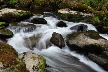 Devon 'da su buluşması