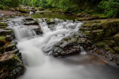 Devon 'da su buluşması