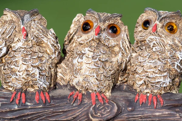 Three wise owls
