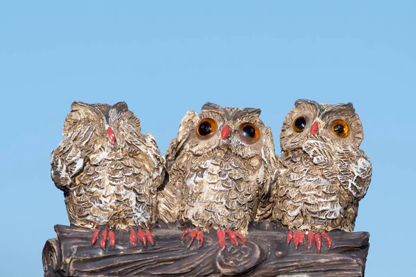 Three wise owls