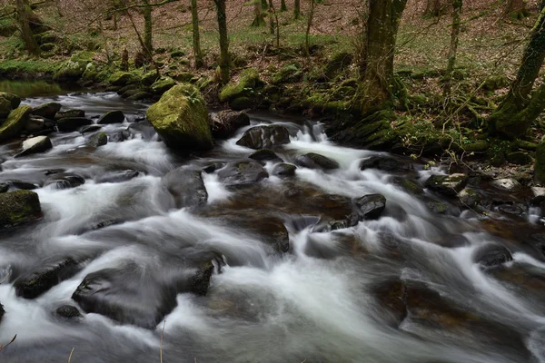 Vattenmöte i Devon — Stockfoto