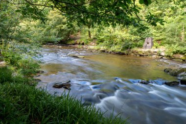 Barle nehrinin Exmoor Ulusal Parkı 'ndaki Tarr Basamakları' ndaki ormanlardan akışı uzun sürdü..