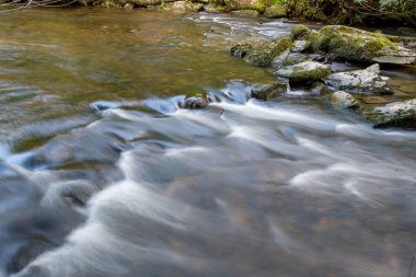 Barle nehrinin Exmoor Ulusal Parkı 'ndaki Tarr Basamakları' ndaki ormanlardan akışı uzun sürdü..