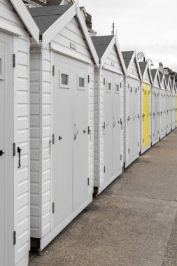 Dorset 'teki Lyme Regis' te bir sıra plaj kulübesinde renk sıçraması.