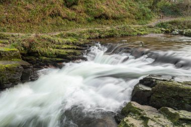 Watersmeet köprüsündeki şelalenin Exmoor Ulusal Parkı 'ndaki Watersmeet' te uzun süre görülmesi